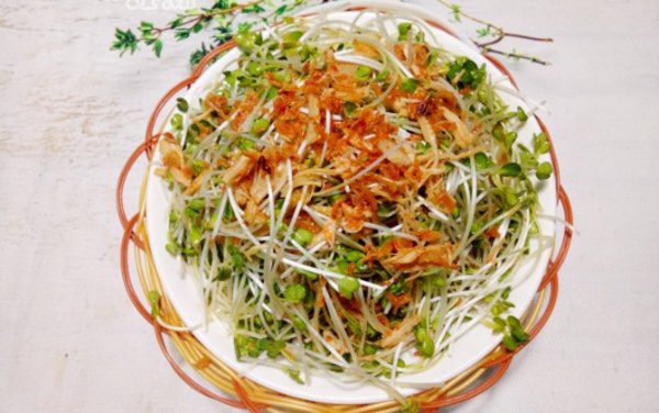 Salat rau cải mầm